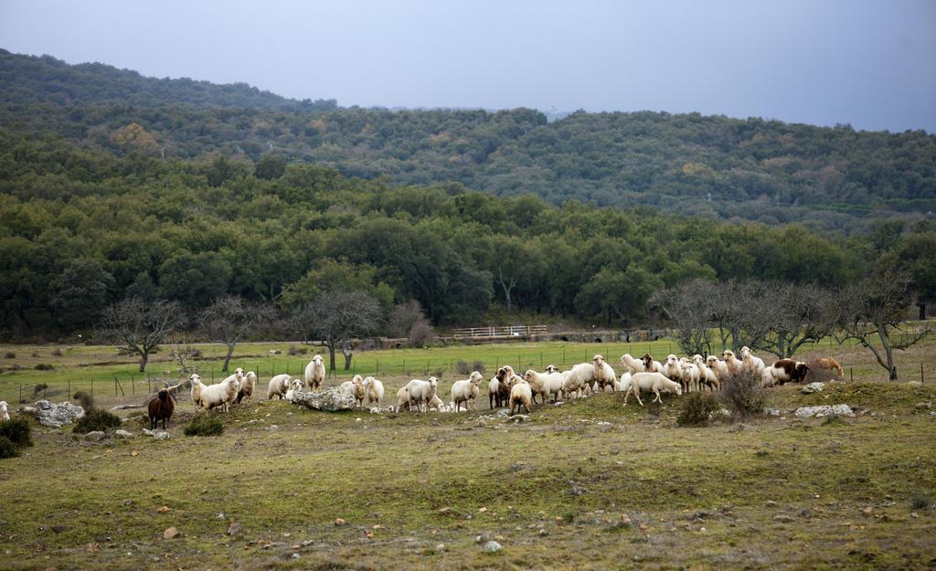 Tambor Del Llano Villa Grazalema Kültér fotó