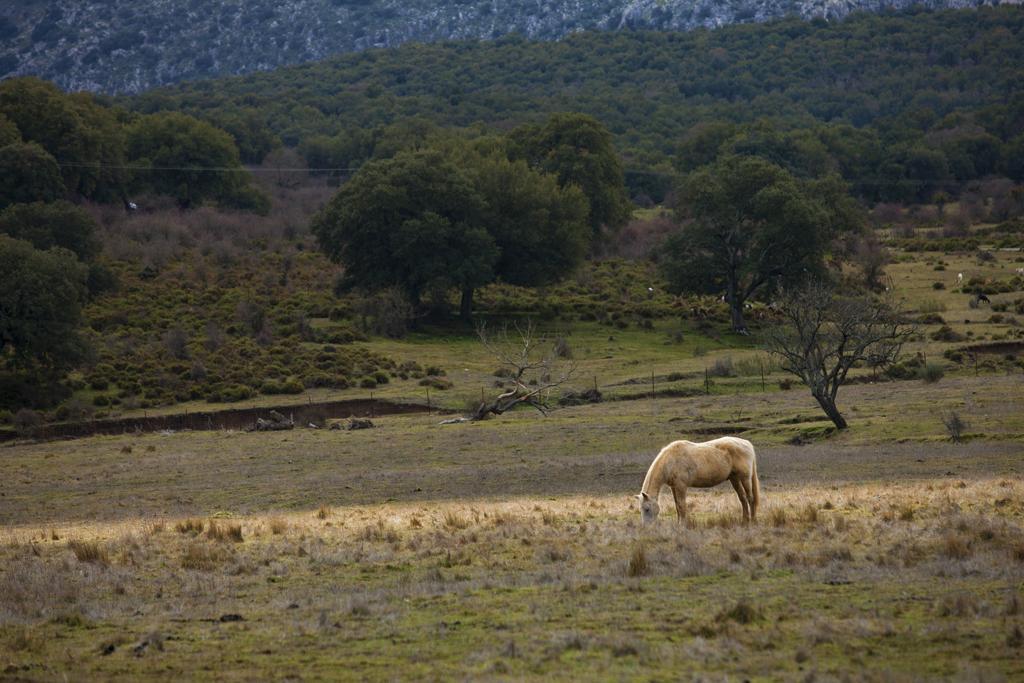 Tambor Del Llano Villa Grazalema Kültér fotó