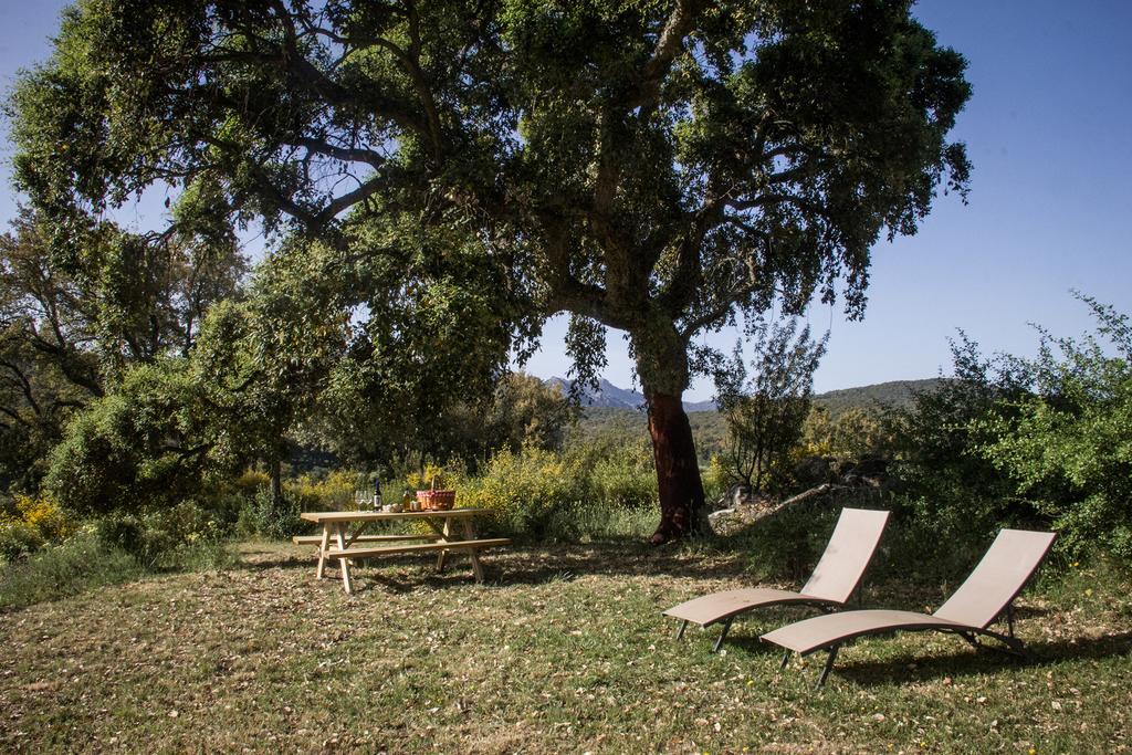 Tambor Del Llano Villa Grazalema Kültér fotó
